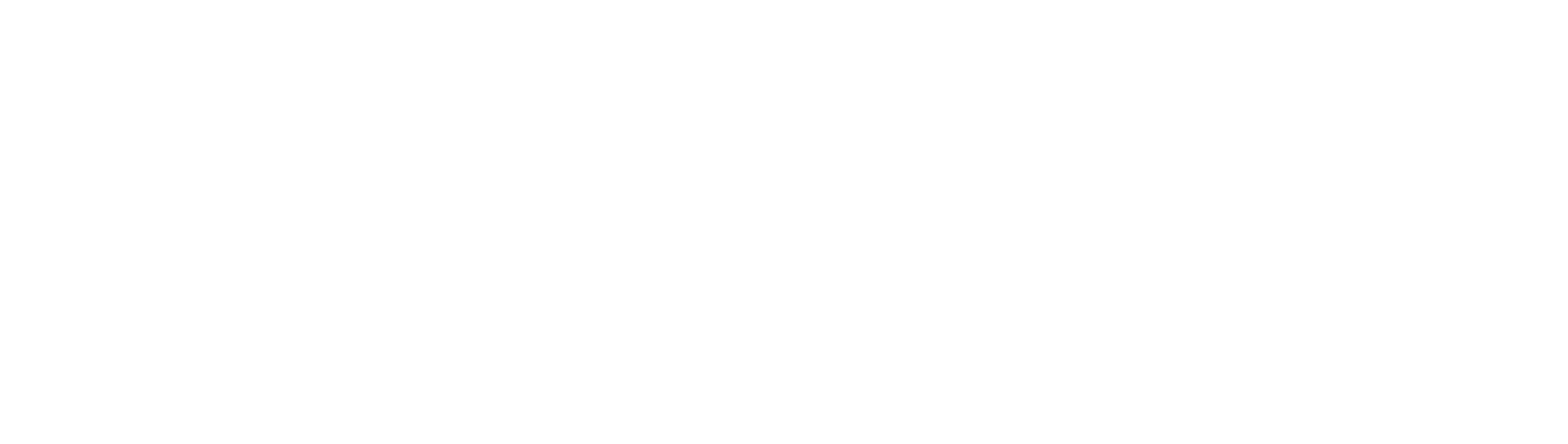 Blog Logo